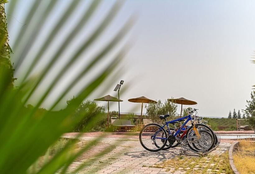 Hôtel Le Parc Des Oliviers