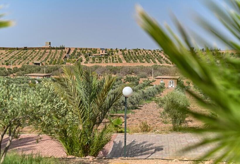 Hôtel Le Parc Des Oliviers