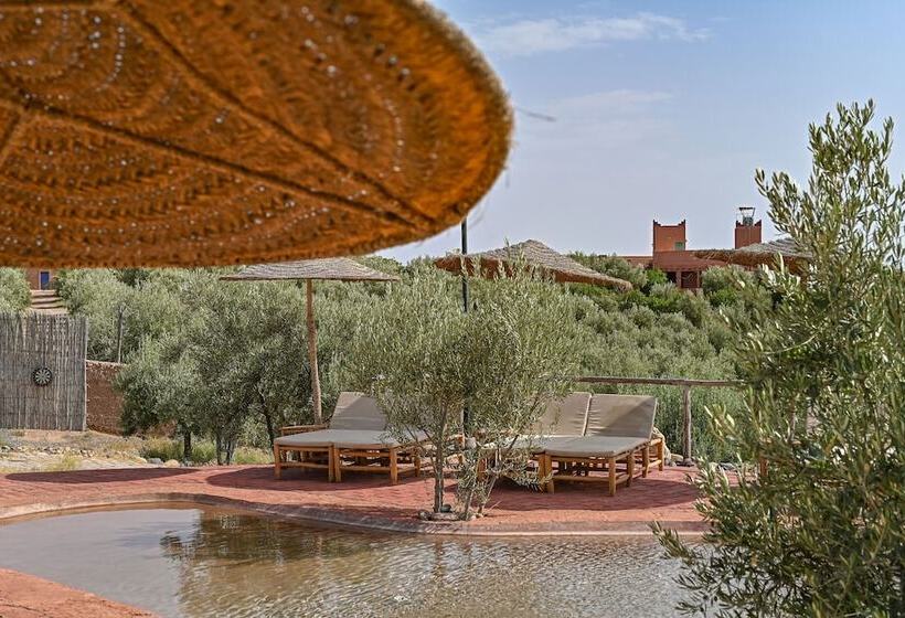 Hôtel Le Parc Des Oliviers