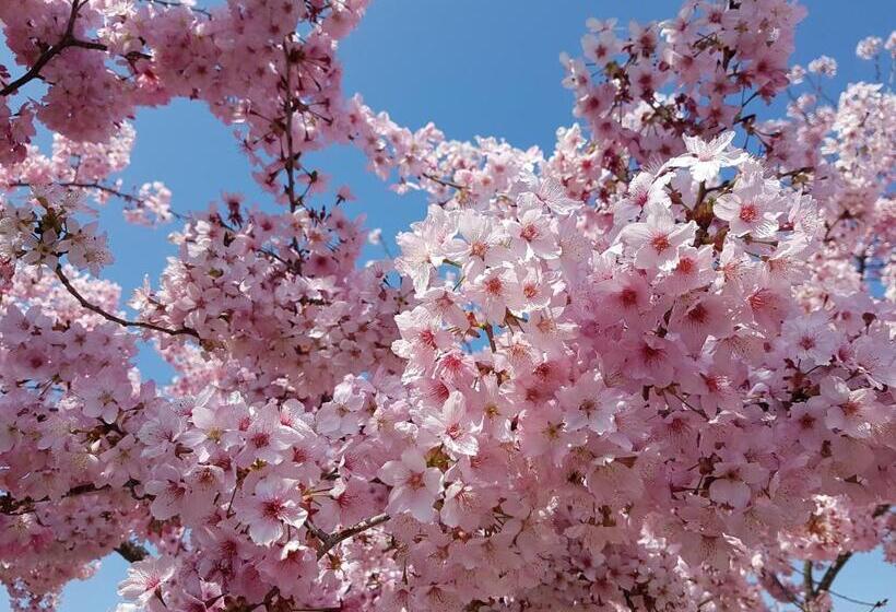 پانسیون 拉拉山周家渡假旅館