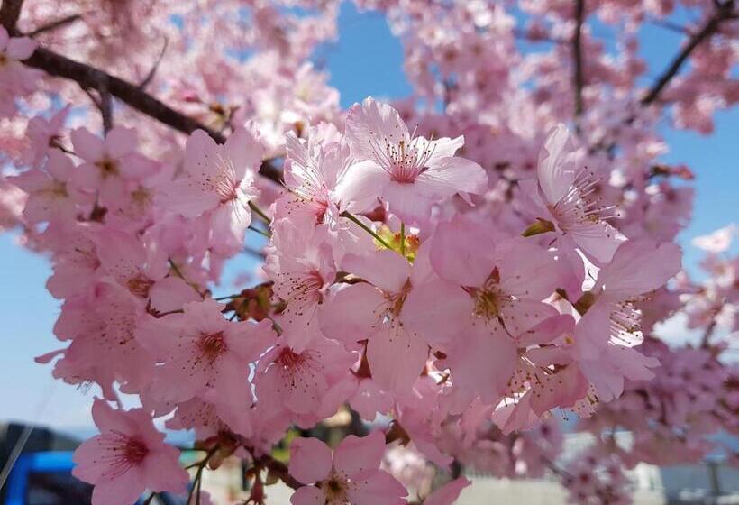 پانسیون 拉拉山周家渡假旅館