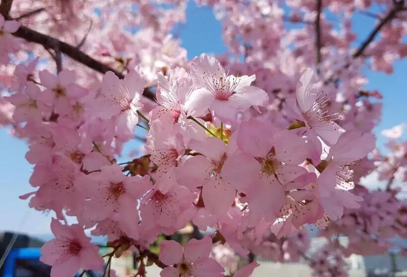 پانسیون 拉拉山周家渡假旅館