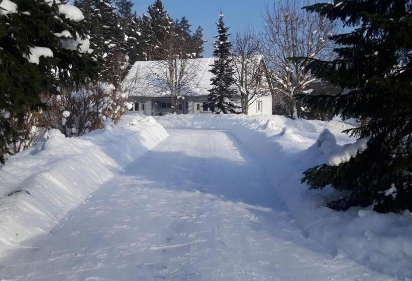 پانسیون ämmamoori Maja   Mother In Law S House