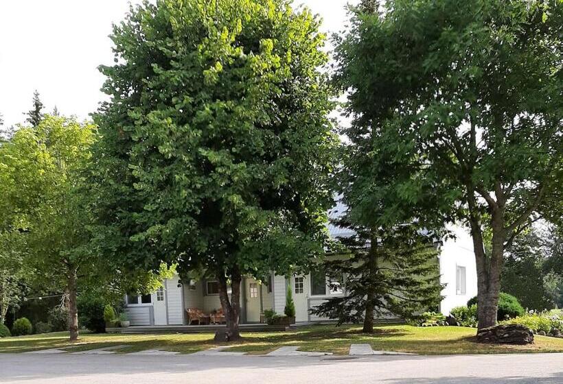 پانسیون ämmamoori Maja   Mother In Law S House