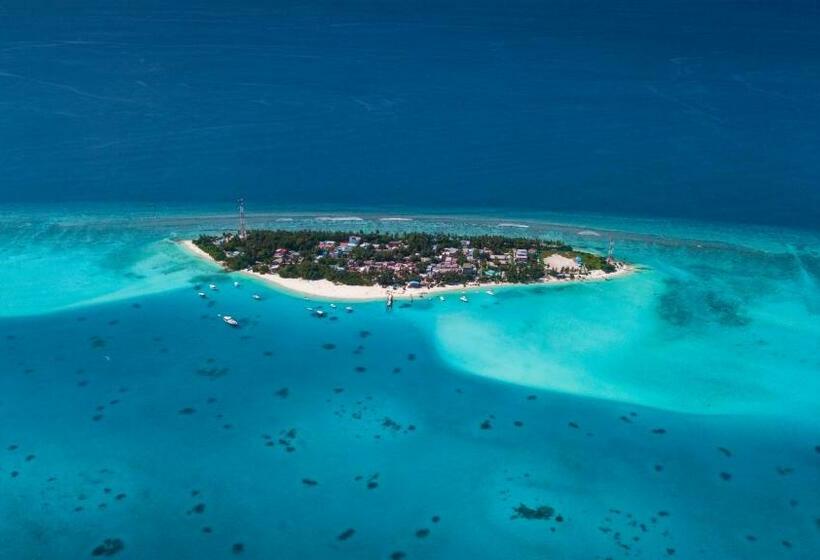 پانسیون The Mureed