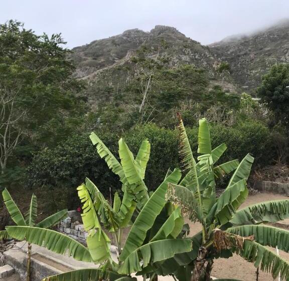 تختخواب و صبحانه Villa Vicente