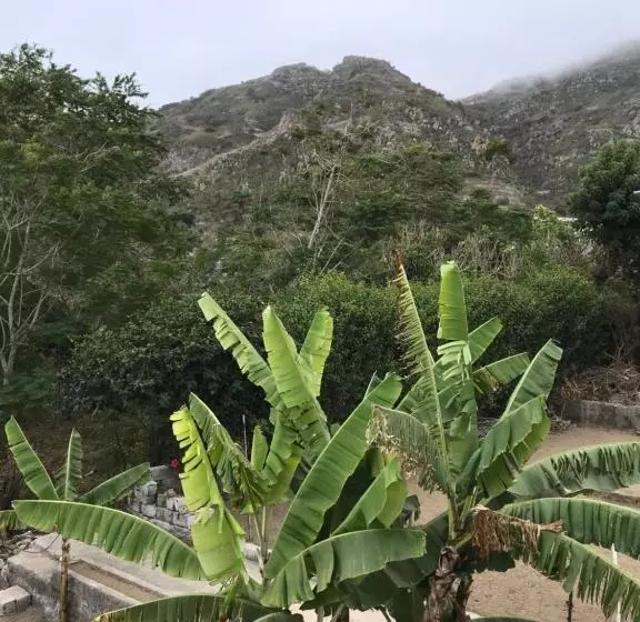 تختخواب و صبحانه Villa Vicente