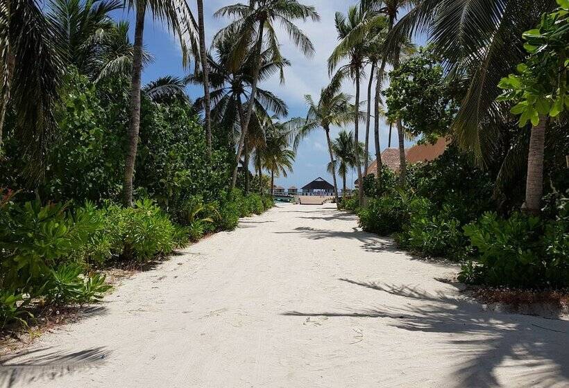 Resort Cinnamon Velifushi Maldives