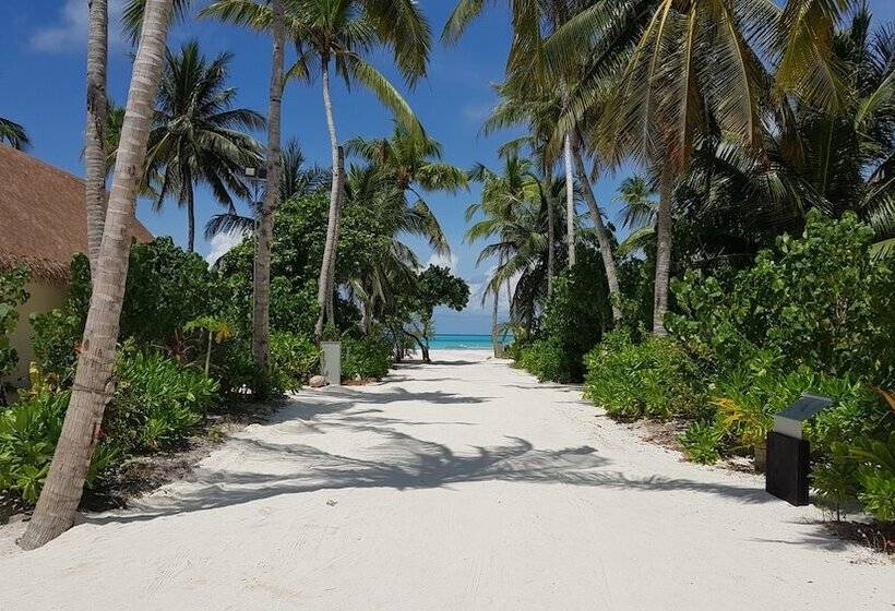 Resort Cinnamon Velifushi Maldives