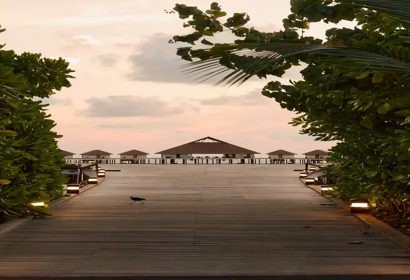 استراحتگاه Cinnamon Velifushi Maldives
