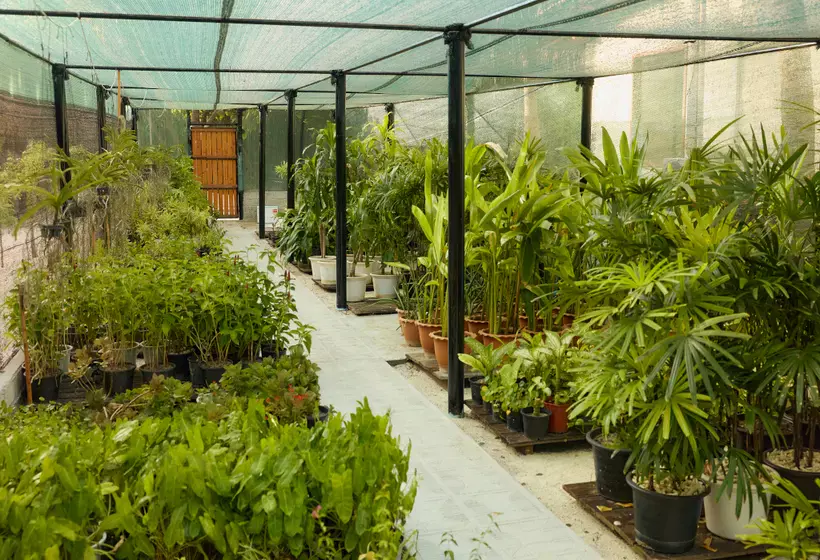 استراحتگاه Cinnamon Velifushi Maldives