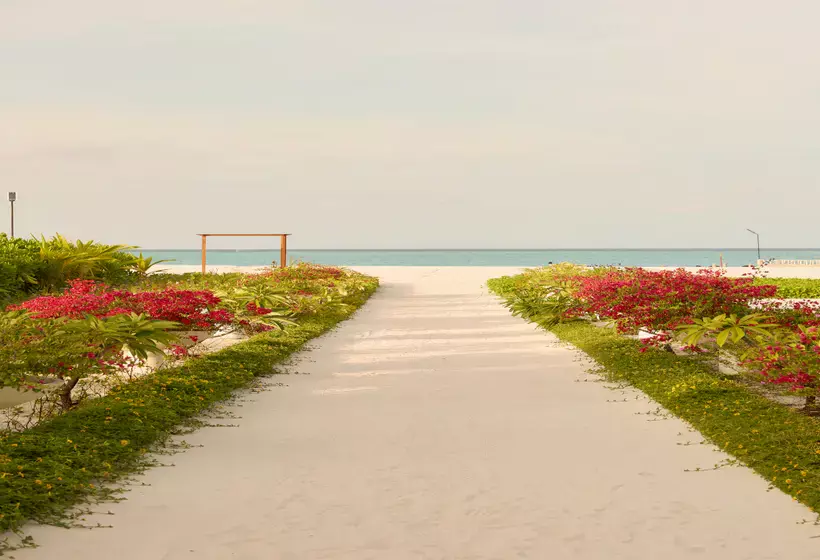 استراحتگاه Cinnamon Velifushi Maldives