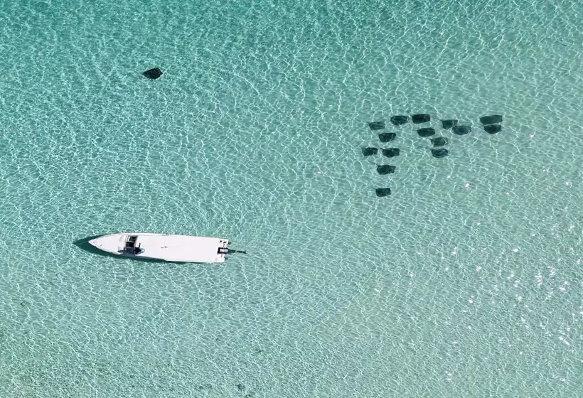 استراحتگاه Cinnamon Velifushi Maldives