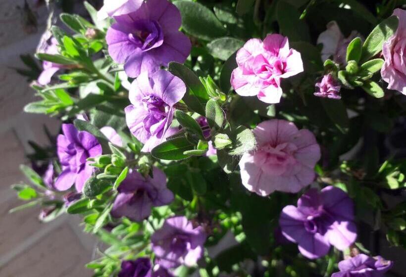 هتل Minnan Majoitus