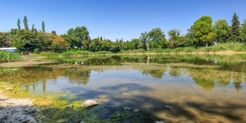 پانسیون Village Rooms Guesthouse