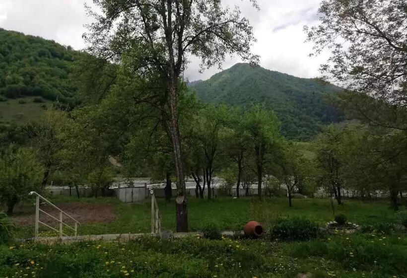 پانسیون Zviad1
