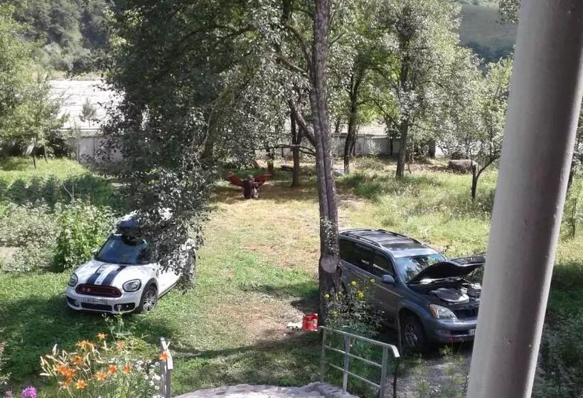 پانسیون Zviad1