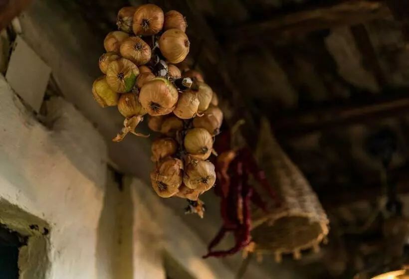 هاستل Etno House Shancheva