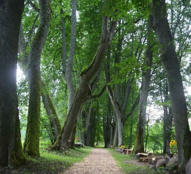 هاستل Lindenhoff