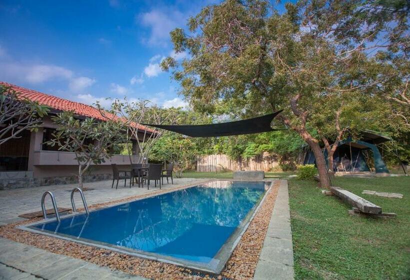 Hangover Hostels Yala