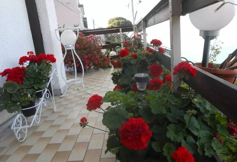 ペンション Garden Villa Sea View
