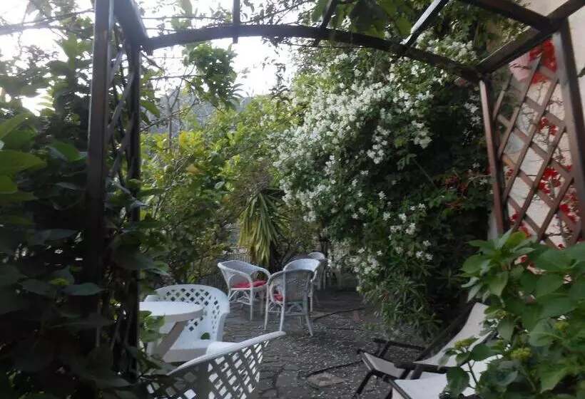 ペンション Garden Villa Sea View