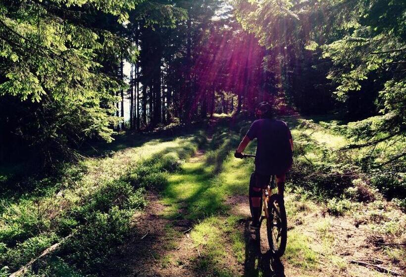 پانسیون Juvanova Hiša   Apartments And Rooms