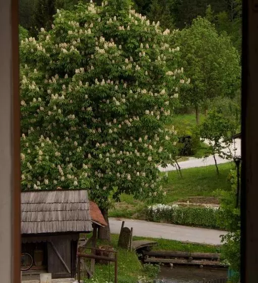 پانسیون Juvanova Hiša   Apartments And Rooms