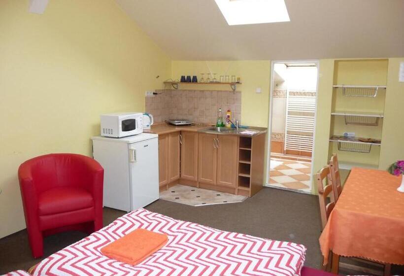 پانسیون Penzion U Splavu