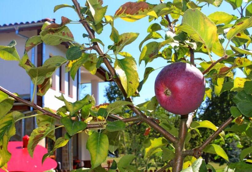 منتجع Sinjirite Complex