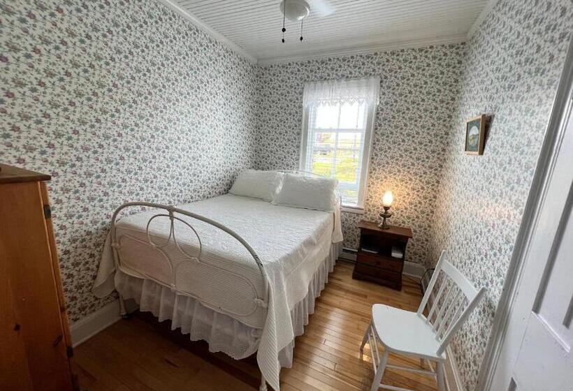 هاستل Kelly S Landing