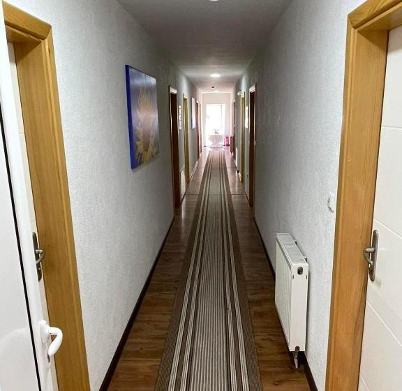 هاستل Motel Kula