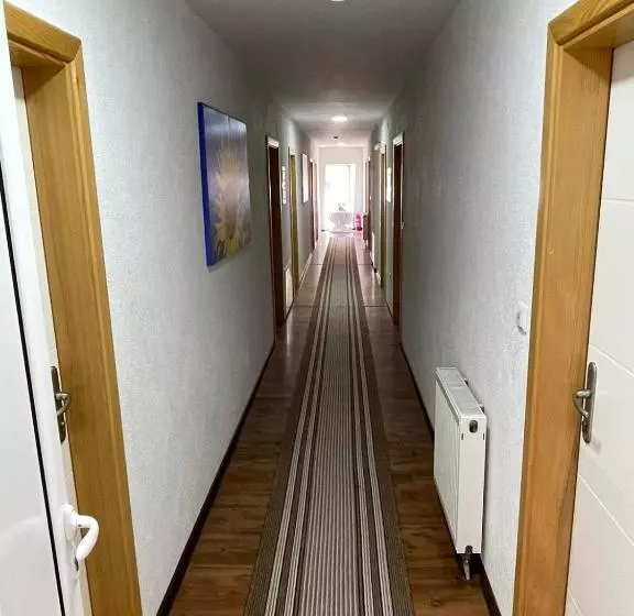 هاستل Motel Kula