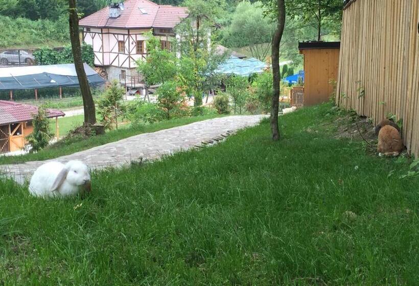 هاستل Motel Kula