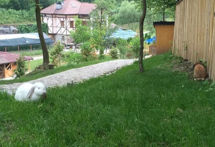 هاستل Motel Kula