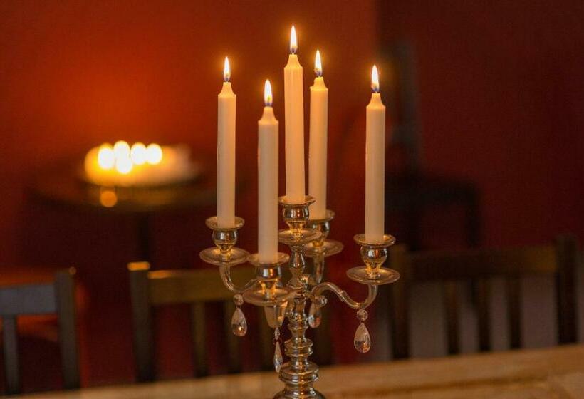 هاستل Willa Inga