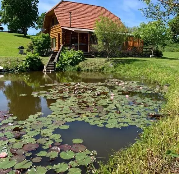 پانسیون Kundziņi