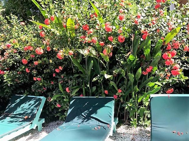 Tobago Hibiscus Golf Villas & Appartments