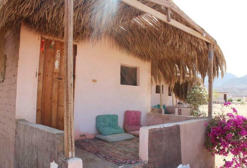 تختخواب و صبحانه Happy Camp