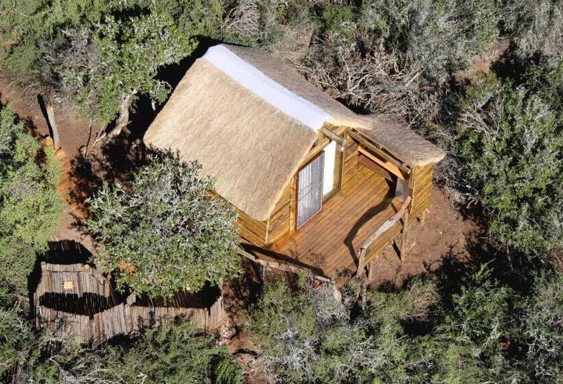 ホテル Addo Dung Beetle Guest Farm