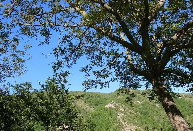 ホテル Agriturismo Cardella