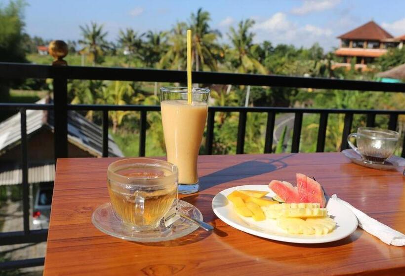 Pensjonat Ancut Sari