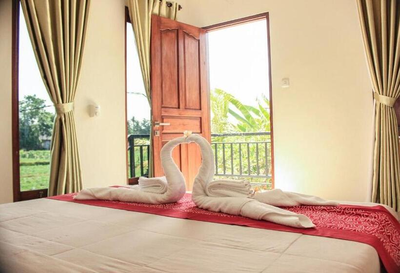 Pensjonat Ancut Sari