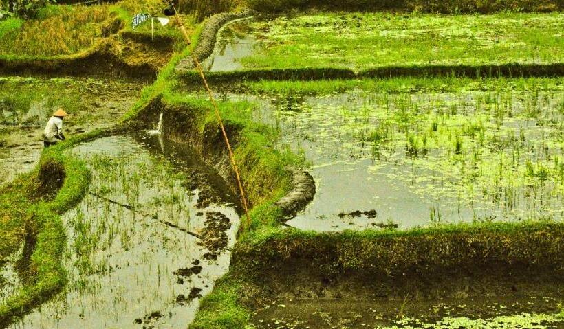 Pensjonat Ancut Sari