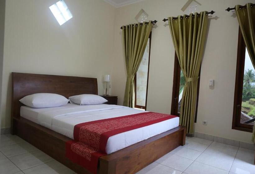 Pensjonat Ancut Sari