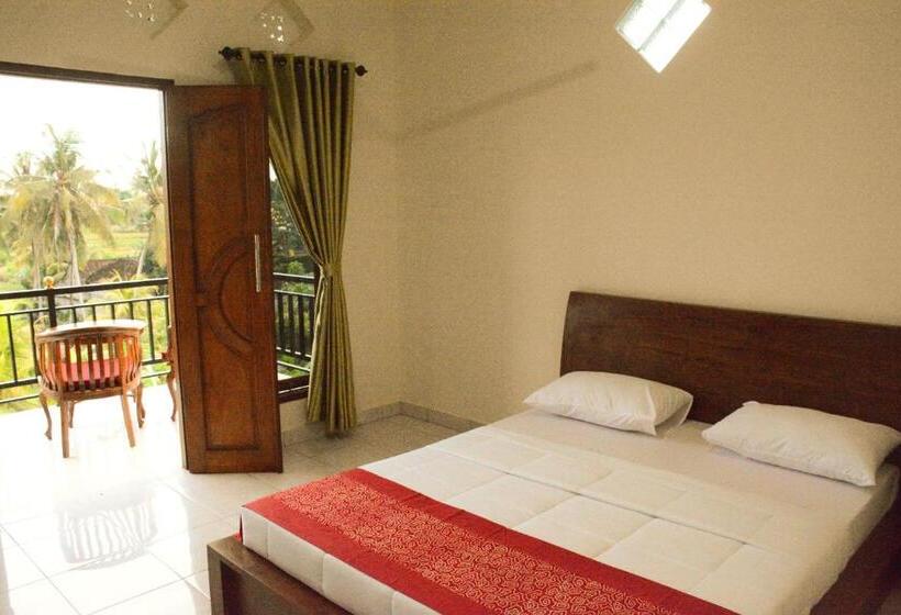 Pensjonat Ancut Sari