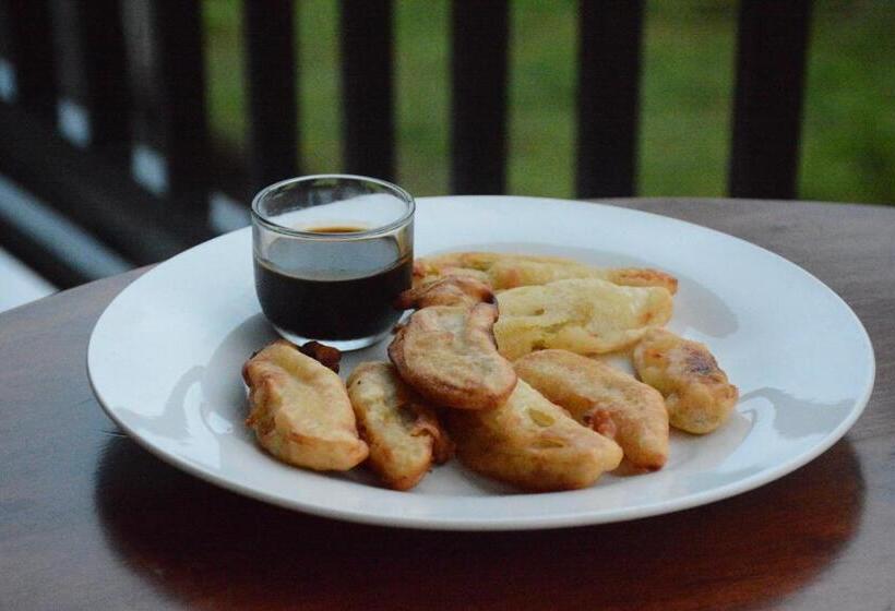 Pensjonat Ancut Sari