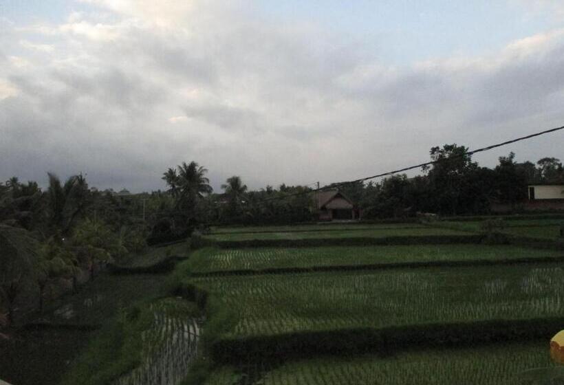 Pensjonat Ancut Sari