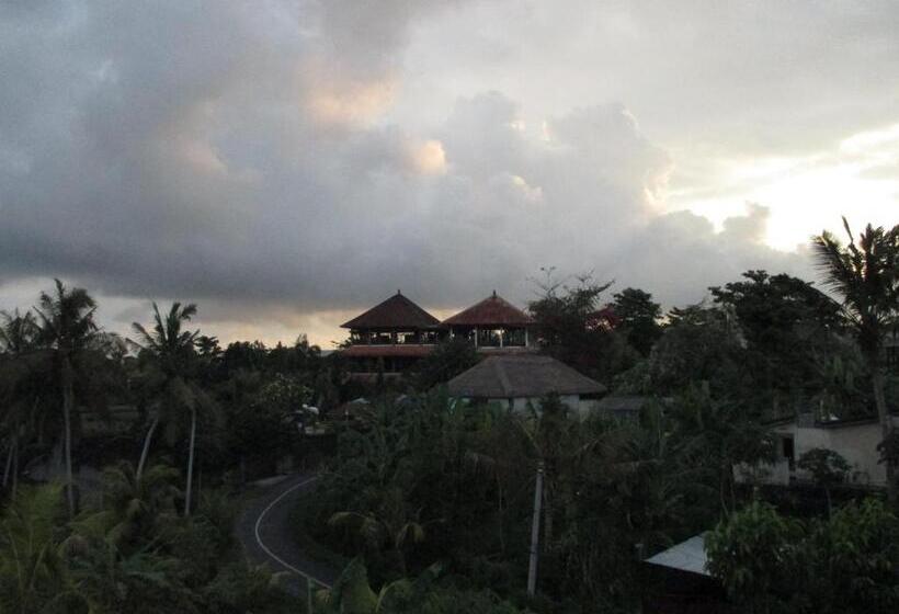 Pensjonat Ancut Sari