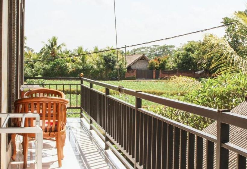 Pensjonat Ancut Sari